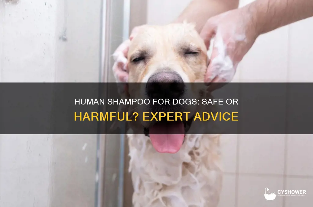 can i shower my dog with human shampoo