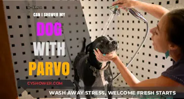 Showering Your Dog with Parvo: Safe Practices and Precautions