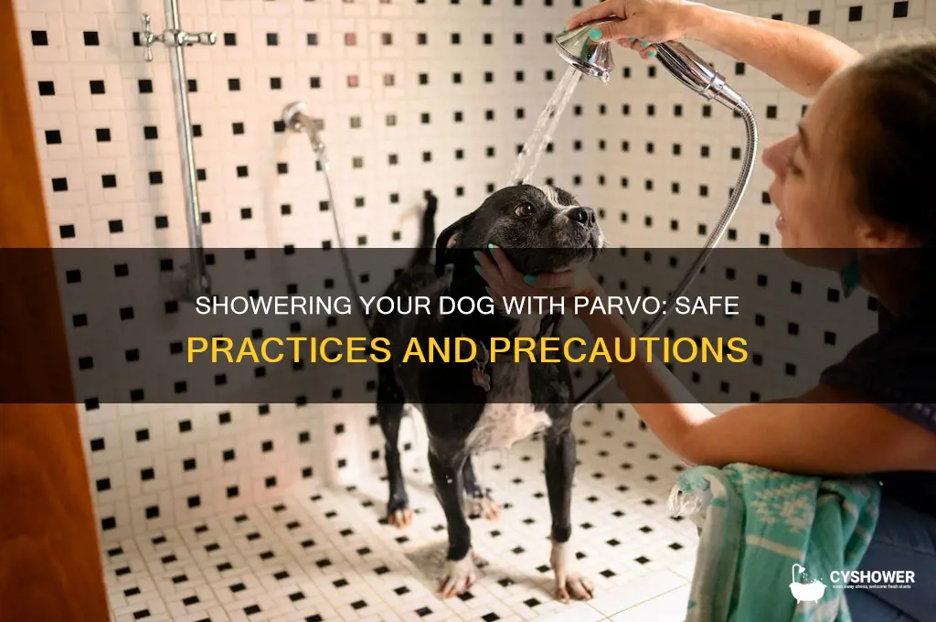 can i shower my dog with parvo