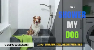 Can I Shower My Dog? Tips for Safe and Stress-Free Bathing