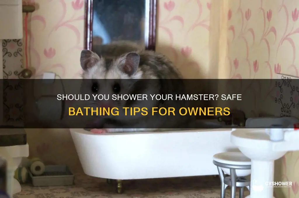 can i shower my hamster