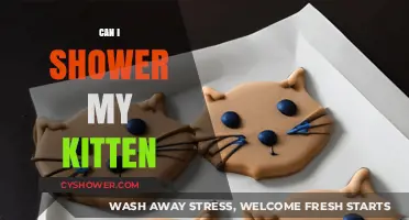 Can I Shower My Kitten? Bathing Tips for Your Feline Friend