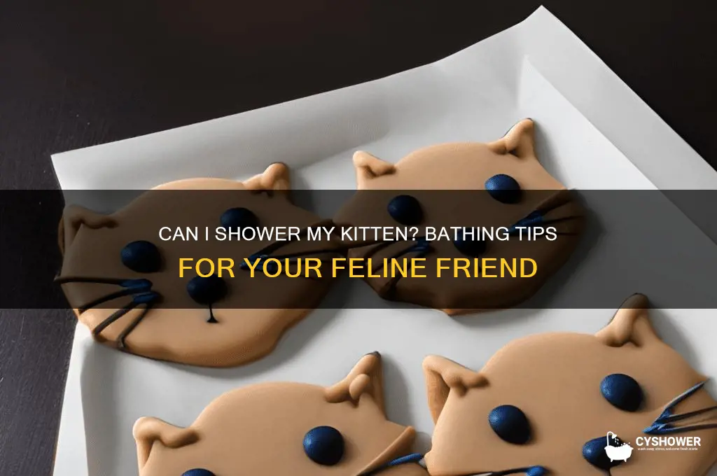 can i shower my kitten