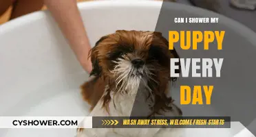 Daily Puppy Showers: Safe or Overdoing It?