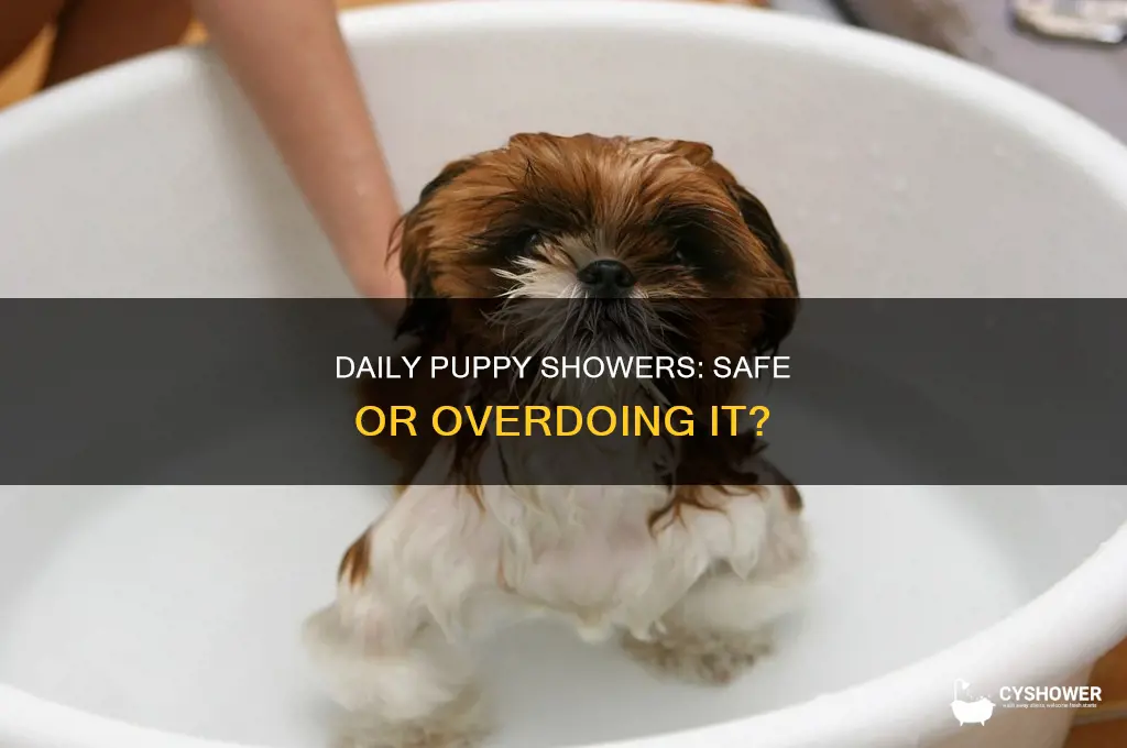 can i shower my puppy every day
