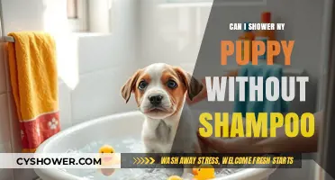 Showering Your Puppy Without Shampoo: Safe Practices and Alternatives