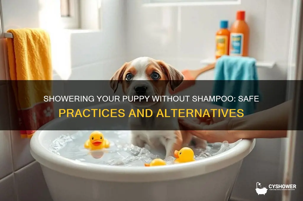 can i shower ny puppy without shampoo