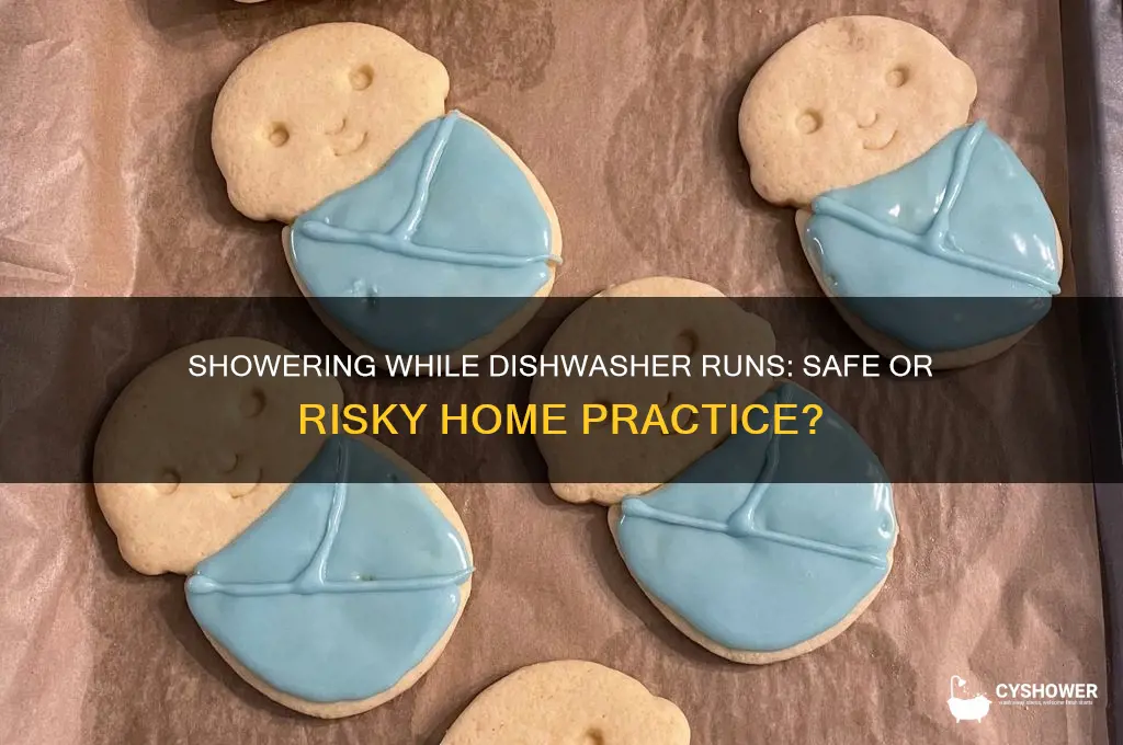 can i shower when the dishwasher is running