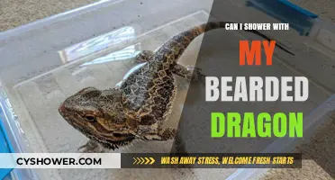 Showering with Your Bearded Dragon: Safe or Risky Practice?
