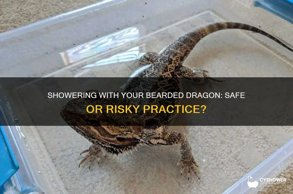 can i shower with my bearded dragon