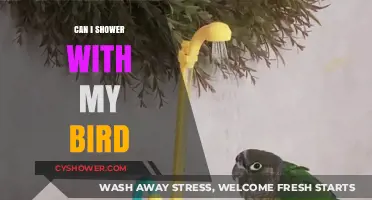 Showering with Your Bird: Safe Practices and Tips for Bird Owners