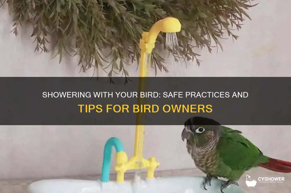 can i shower with my bird