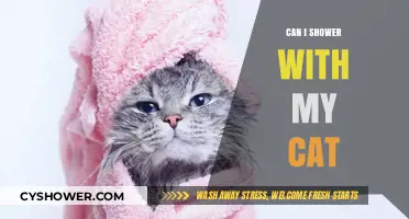 Showering with Your Cat: Tips, Safety, and What to Expect
