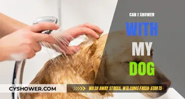Showering with Your Dog: Tips, Safety, and When to Avoid It