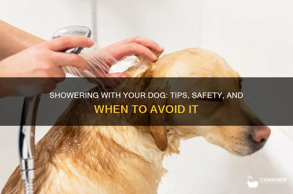 can i shower with my dog