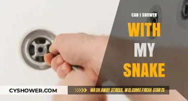 Showering with Your Snake: Safe or Slippery Situation?