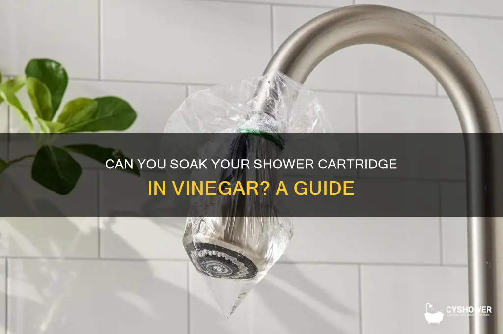 can i soak my shower cartridge in vinegar