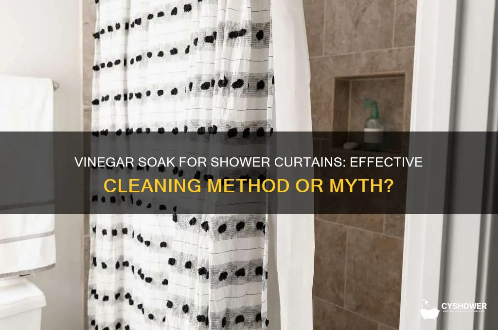 can i soak my shower curtain in vinegar
