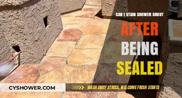 Staining Sealed Shower Grout: What You Need to Know First