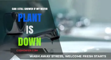 Water Plant Down? Safe Showering Tips During Outages