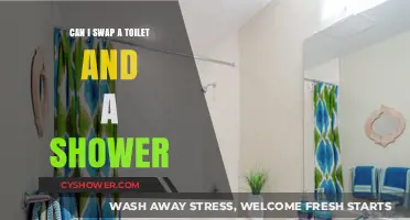 Swapping Toilet and Shower: Is It Possible and How to Do It