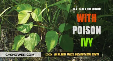 Hot Showers and Poison Ivy: Safe or Skin Irritation Risk?