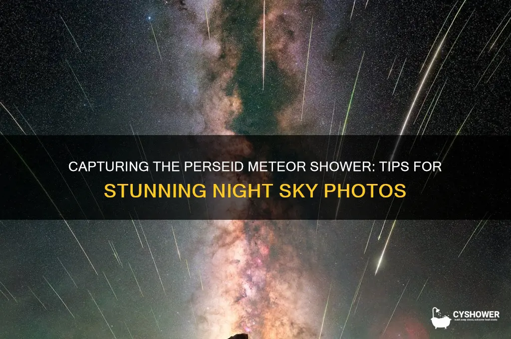 can i take a photo of the perseid shower