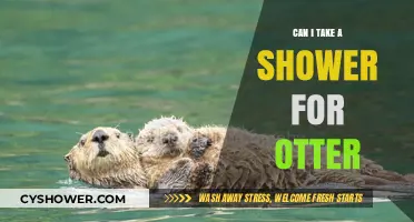Can Otters Shower? Exploring Safe Water Practices for Otters