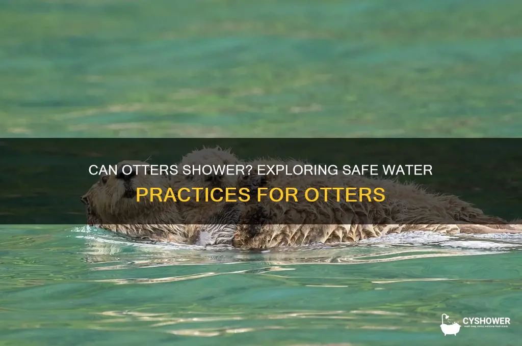 can i take a shower for otter