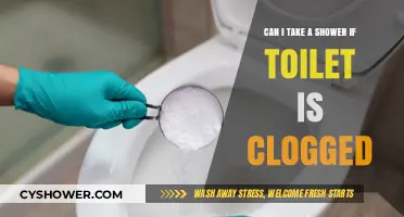 Showering Safely: What to Do When Your Toilet is Clogged