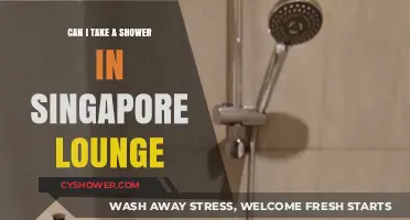 Shower Access in Singapore Lounges: What Travelers Need to Know