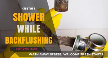 Showering During Backflushing: Safe Practice or Plumbing Risk?