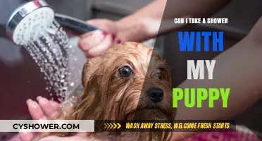 Puppy Bath Time: Tips for Showering Safely with Your Furry Friend