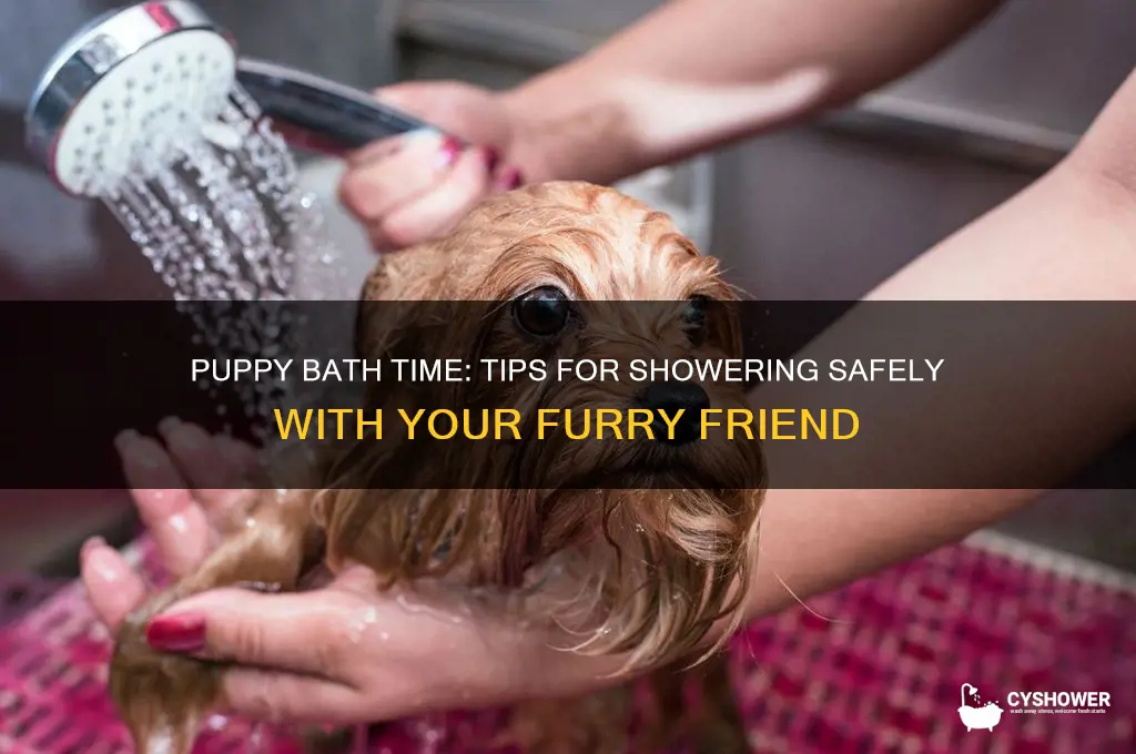 can i take a shower with my puppy