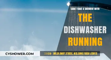 Showering While Dishwasher Runs: Safe or Risky Home Practice?