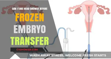 Head Shower Before Frozen Embryo Transfer: Safe or Risky?