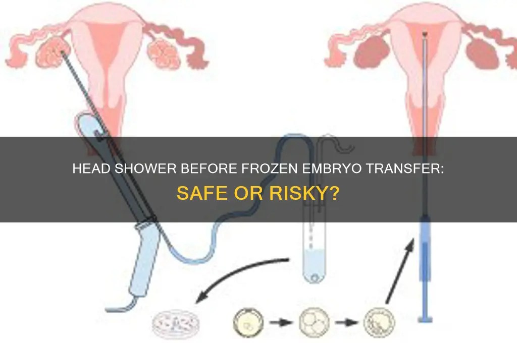 can i take head shower before frozen embryo transfer