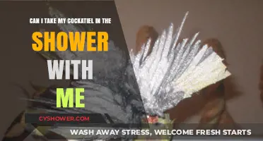 Showering with Your Cockatiel: Safe or Risky? Expert Tips Inside