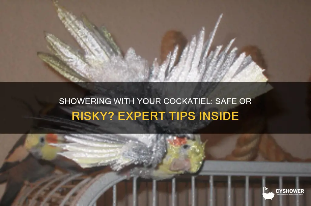 can i take my cockatiel in the shower with me