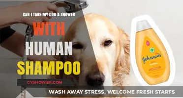 Can Dogs Use Human Shampoo? Safe Shower Tips for Your Pet