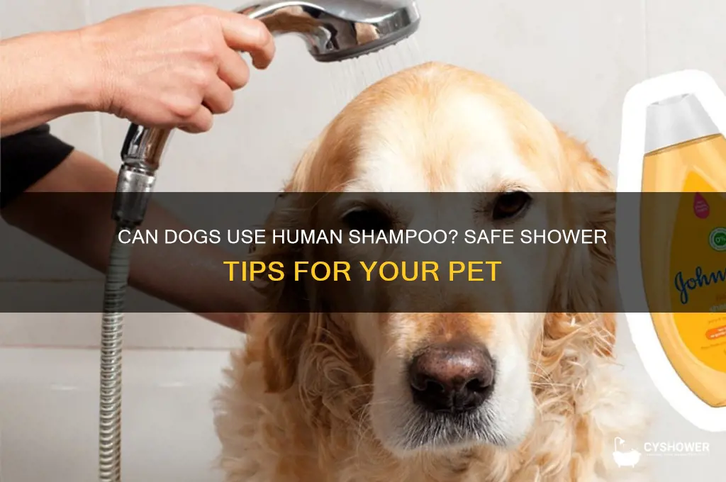 can i take my dog a shower with human shampoo