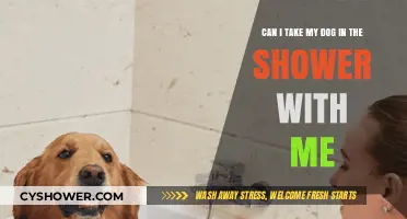Showering with Your Dog: Safe, Fun, or a Furry Mistake?