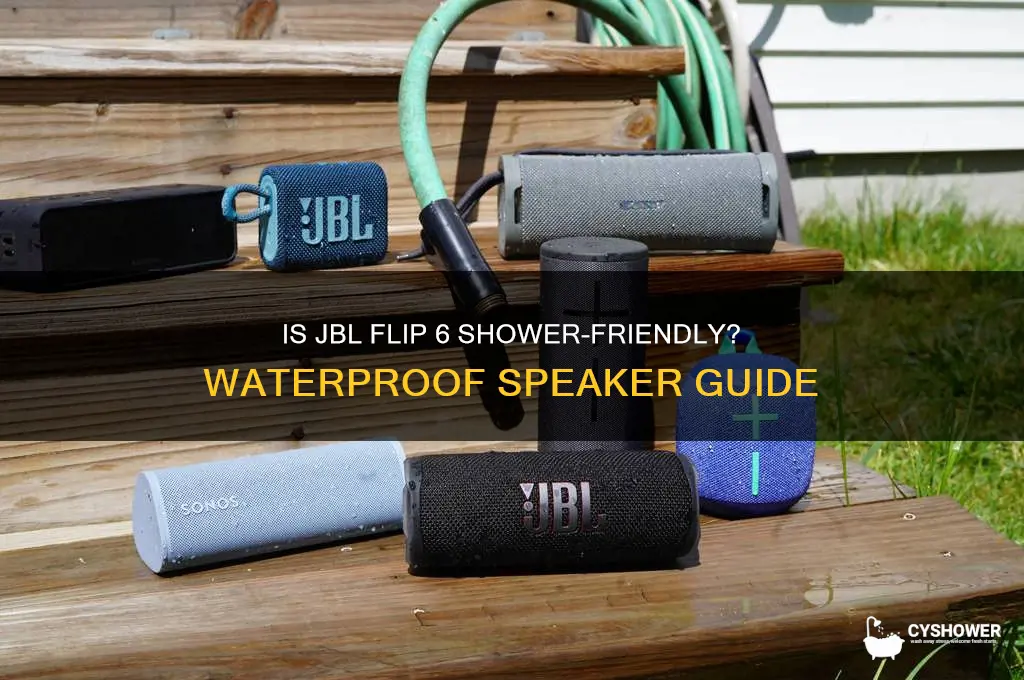 can i take my jbl flip 6 in the shower