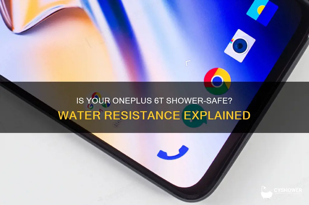 can i take my oneplus 6t in the shower