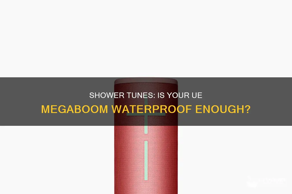 can i take my ue megaboom in the shower