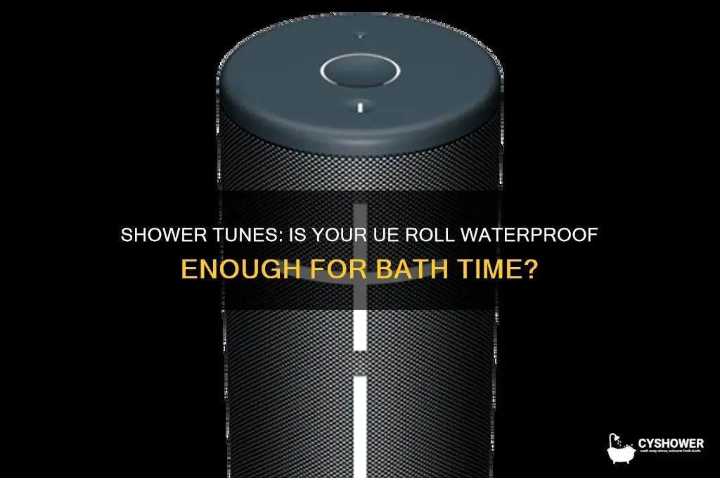 can i take my ue roll in the shower