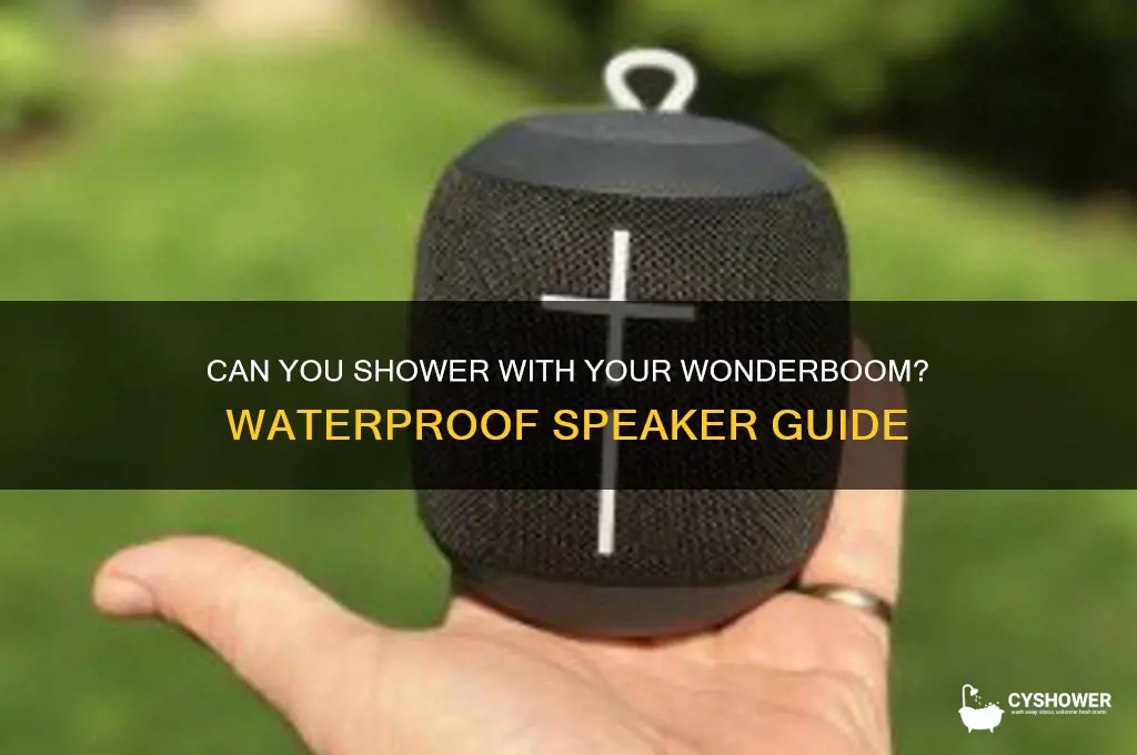 can i take my wonderboom in the shower