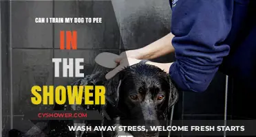 Training Your Dog to Pee in the Shower: Tips and Tricks