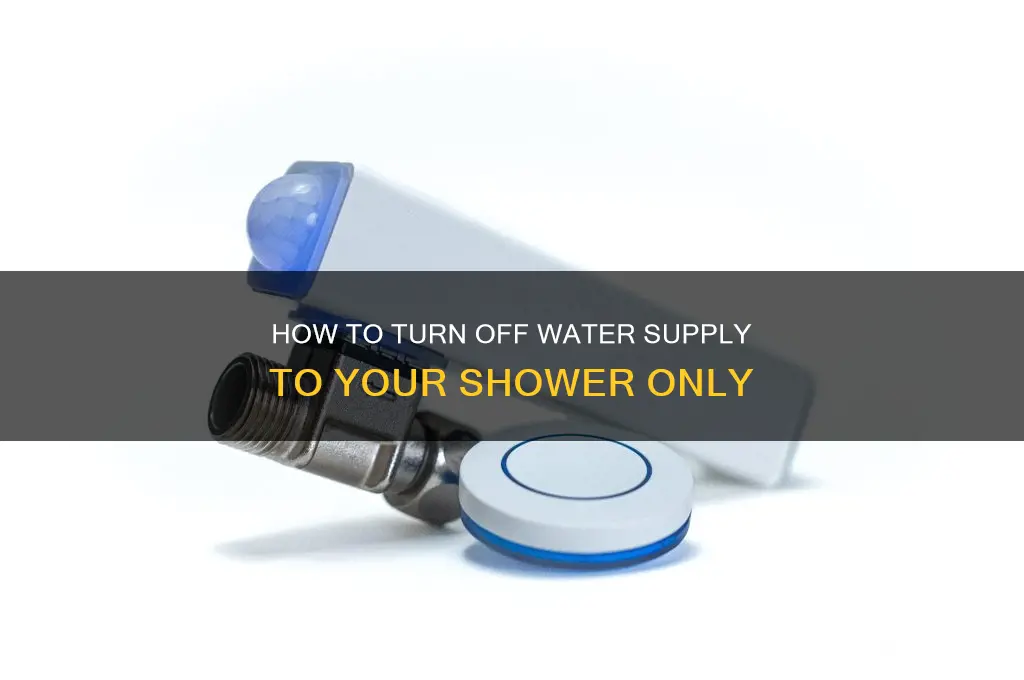 can i turn off the water to just my shower