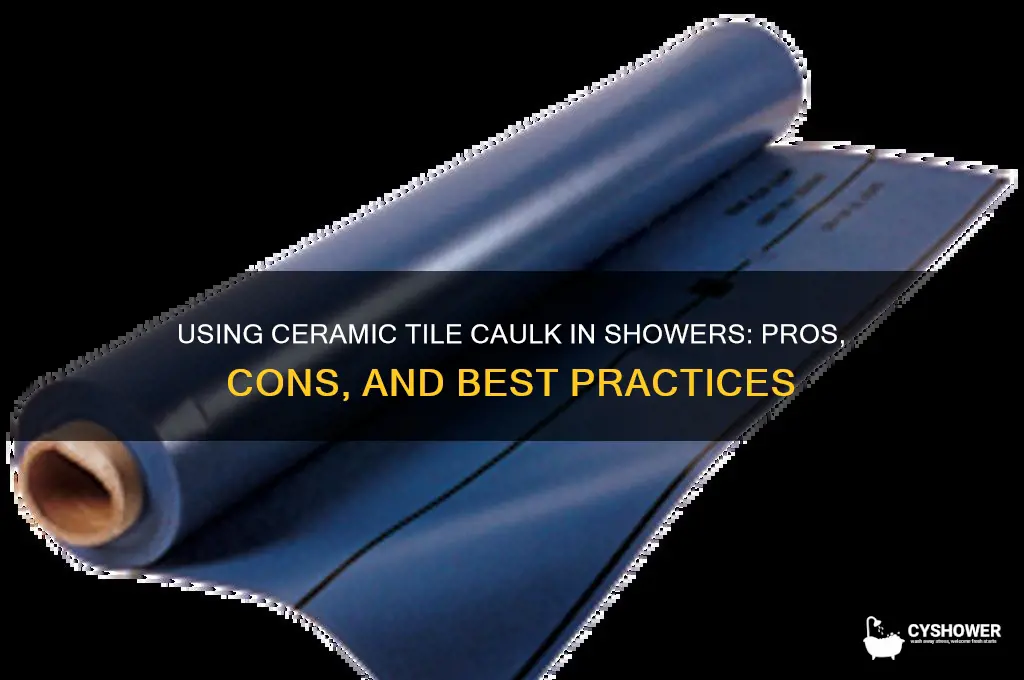 can i use ceramic tile caulk for my shower area